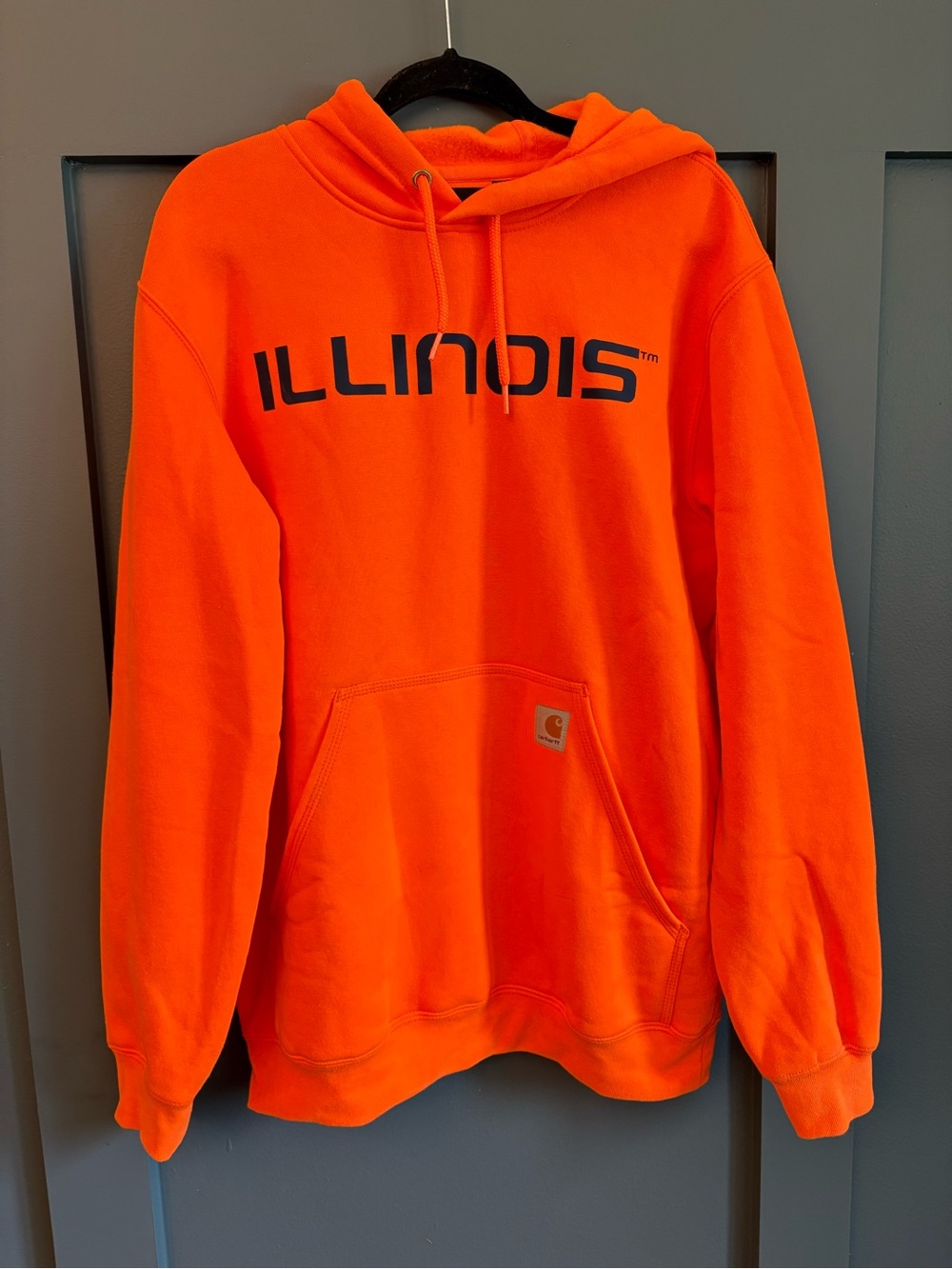 Illinois Carhartt Men’s Hoodie Sweatshirt Size Medium Orange Loose Fit